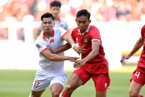 Tuyển Việt Nam và Indonesia gặp nhau lúc 21h30 ngày 19/1 ở Asian Cup 2023.