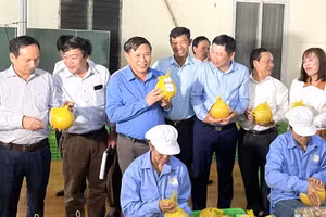 Ông Đinh Công Sứ - Phó Chủ tịch UBND tỉnh Hoà Bình (thứ 3 từ trái sang) và các đại biểu dự lễ xuất khẩu bưởi đỏ.