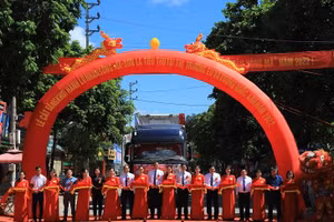 Sơn La: Xuất khẩu nhãn sang EU, Vương Quốc Anh và Trung Quốc