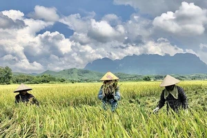 Nhờ sự quan tâm của Huyện uỷ, UBND huyện Tân Lạc, đời sống sinh hoạt của người dân ngày càng nâng cao.