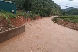 Mưa lớn gây ra lũ ống làm thiệt hại nhiều diện tích hoa màu của người dân huyện Đà Bắc, tỉnh Hoà Bình.