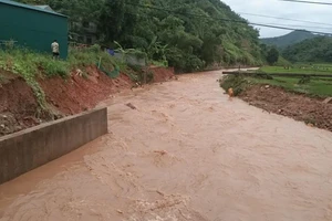 Mưa lớn gây ra lũ ống làm thiệt hại nhiều diện tích hoa màu của người dân huyện Đà Bắc, tỉnh Hoà Bình.