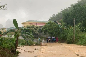 Chủ tịch UBND tỉnh Hoà Bình: Ban hành công điện ứng phó mưa lũ, đảm bảo an toàn cho kỳ thi tốt nghiệp THPT Quốc gia năm 2022 diễn ra an toàn và thành công.