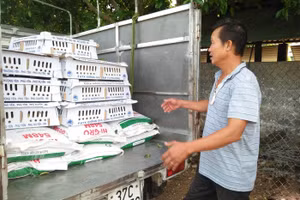 Giá thức ăn chăn nuôi đang là gánh nặng với nhiều hộ chăn nuôi.