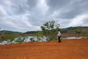 Hiện trường vụ việc tự ý mở đường, phá rừng phòng hộ thuỷ điện Đắk R’Tih