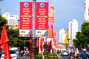 Tuyến đường Nguyễn Văn Linh ở TP Đà Nẵng rực rỡ sắc màu.