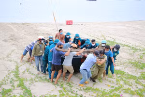 Người dân vùng ven biển Đà Nẵng hối hả thu dọn ngư lưới cụ và thuyền thúng lên bờ trước bão số 5. 