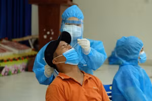 Nhân viên y tế lấy mẫu xét nghiệm. 