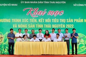 Ký kết hợp tác cung ứng và tiêu thụ sản phẩm nông sản tỉnh Thái Nguyên năm 2022