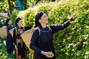 Mô hình khởi nghiệp của các thanh niên dân tộc thiểu số tại Bắc Kạn.