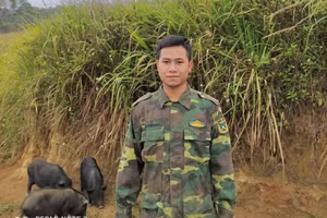 Chàng trai người Dao bỏ phố về quê làm giàu.