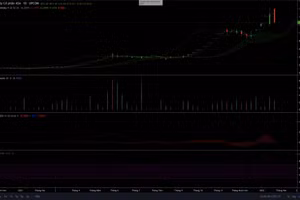 Ủy ban Chứng khoán Nhà nước hủy 7 triệu cổ phiếu ASA vì tăng vốn khống