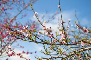 Ảnh minh họa: INT.