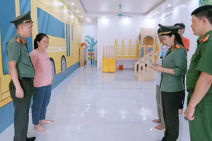 Lê Thị Hồng Vân bị khởi tố, bắt tạm giam. (Ảnh: CATH).