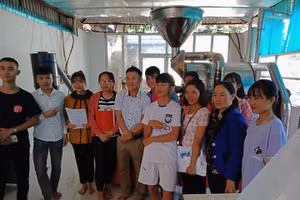 Mô hình "5 góc" cho HS THPT thú vị với góc trải nghiệm thiên nhiên