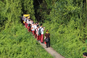 Ảnh minh hoạ. (nguồn: Internet)