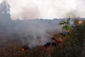 Đốt đồng là việc nông dân vùng ĐBSCL vẫn thường làm sau khi thu hoạch lúa