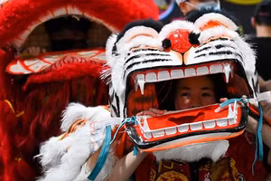 Một người biểu diễn với trang phục hổ trong lễ đón Tết Nguyên đán ở Khu phố Tàu, Sydney, Australia.