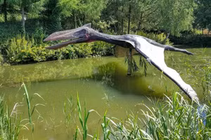 Ảnh minh họa loài Pterosaur.
