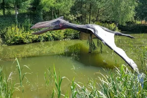 Ảnh minh họa loài Pterosaur.