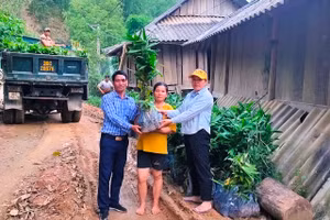 Người dân xã Mường Lý (Mường Lát, Thanh Hóa) nhận giống cây lá giang từ doanh nghiệp cung cấp. (Ảnh: Văn Tùng)