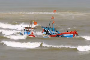 Ảnh minh họa. (Nguồn: Internet)