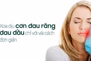 Đau răng đau đầu gây ảnh hưởng lớn tới cuộc sống hàng ngày