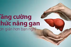Bảo vệ và tăng cường chức năng gan là việc quan trọng