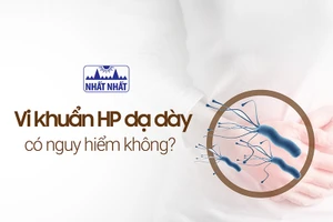 Nhiễm vi khuẩn HP dạ dày là tình trạng phổ biến trên thế giới