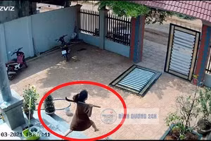 Hình ảnh chị Quỳnh cầm rựa ra "giải vây" cho chồng khiến mạng xã hội xôn xao.