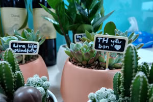 Ngoài phúc lợi của ngày Quốc tế Hạnh phúc, cán bộ nhân viên TH còn được tổ chức những bữa tiệc vui vẻ, được tặng những món quà giản dị đầy ý nghĩa với thông điệp hướng tới hạnh phúc.