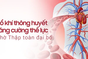 Bổ khí thông huyết sẽ giúp tăng cường sức khỏe tổng thể