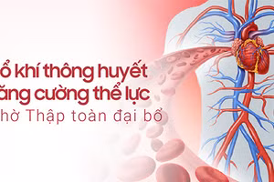 Bổ khí thông huyết sẽ giúp tăng cường sức khỏe tổng thể