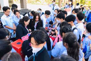Học sinh tìm hiểu thông tin ngành nghề vào Nova College.