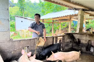 Triển khai chương trình mục tiêu quốc gia DTTS cần đảm bảo đúng mục đích, yêu cầu