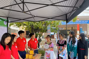 Tăng cường kết nối thanh niên với các cơ sở giáo dục nghề nghiệp và doanh nghiệp.