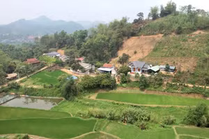 Tập trung hỗ trợ xây dựng nhà mới, sửa chữa nhà ở cho hộ nghèo.