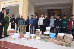 Thái Nguyên triệt phá chuyên án sản xuất, mua bán trái phép pháo nổ