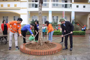 Công ty Núi pháo ươm những mầm xanh.