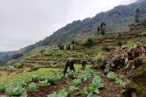 Tín hiệu đáng mừng trong công tác giảm nghèo tại Hà Giang