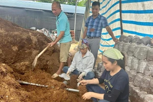 Nỗ lực giảm nghèo thông qua triển khai hiệu quả các dự án vay vốn.