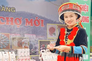 Giảm nghèo nhờ sản xuất trà hoa hồng theo hướng hữu cơ.