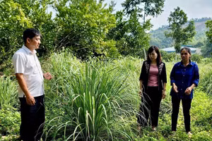 Hà Giang thúc đẩy giảm nghèo nhanh và bền vững.