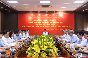 Tập trung tháo gỡ khó khăn cho Gang Thép Thái Nguyên.