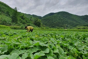 Đẩy mạnh triển khai các chương trình về công tác giảm nghèo.