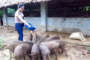 Phú Lương triển khai đồng bộ nhiều giải pháp nhằm giảm nghèo bền vững.