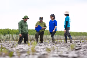  Thiên nhiên tái sinh kì diệu nơi cánh rừng Net Zero Đất Mũi