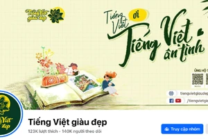 Nếu tiếng Việt chưa vững, đừng vội học tiếng Anh