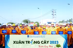 Niềm vui tham gia Xuân trồng cây gắn kết tập thể lãnh đạo và CBCNV KVT.