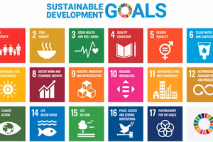 THE Impact Rankings là bảng xếp hạng đánh giá các trường đại học dựa trên 17 Mục tiêu Phát triển Bền vững (SDGs) của Liên Hợp Quốc